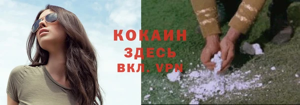 мескалин Алексин