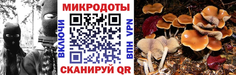 продажа наркотиков  OMG   Псилоцибиновые грибы MAGIC MUSHROOMS  Юрьев-Польский 